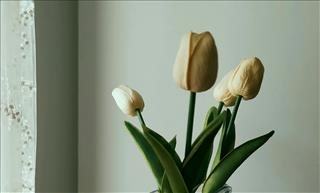 Tử vi Thứ 3 ngày 29/7/2025 của 12 cung hoàng đạo: Xử Nữ kỷ luật, Bảo Bình tích cực