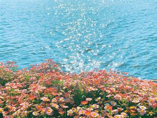 Tử vi thứ 5 ngày 14/8/2025 của 12 cung hoàng đạo: Ma Kết tự tin