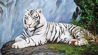 Tháng Cô hồn 2025: Hung tinh Bạch Hổ ghé thăm, 4 tuổi cần thận trọng với những rắc rối tìm đến tận cửa