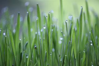 Tử vi thứ 4 ngày 27/8/2025 của 12 con giáp: Tý may mắn, Ngọ tò mò