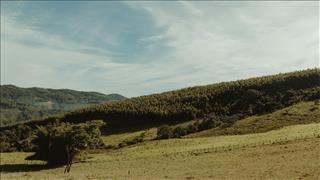 Tử vi Chủ Nhật ngày 24/8/2025 của 12 cung hoàng đạo: Nhân Mã kiên nhẫn