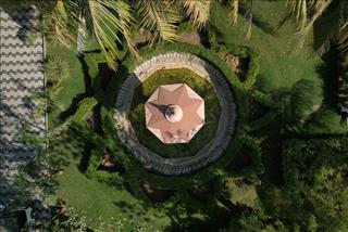 Tử vi thứ 7 ngày 30/8/2025 của 12 con giáp: Tý có áp lực, Tị nhạy bén