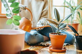 Cẩm nang may mắn tháng 9/2025 cho 12 chòm sao: Chìa khóa VÀNG để khai mở vận may