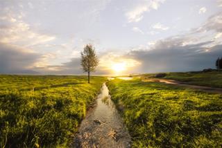 Tử vi thứ 4 ngày 27/8/2025 của 12 cung hoàng đạo: Bảo Bình phiêu lưu, Thiên Bình phát triển