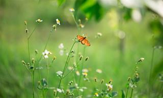 Tử vi thứ 2 ngày 8/9/2025 của 12 con giáp: Hợi thư thả, Tý hạnh phúc