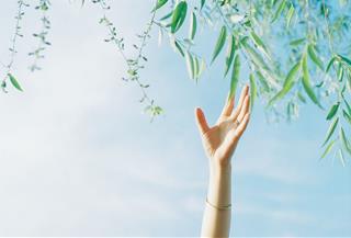 Tử vi thứ 5 ngày 28/8/2025 của 12 cung hoàng đạo: Sư Tử khó chịu