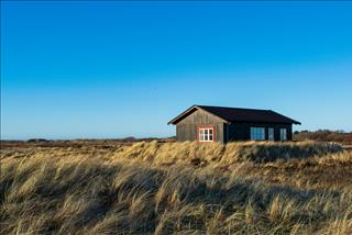 Tử vi Chủ Nhật ngày 31/8/2025 của 12 cung hoàng đạo: Nắm bắt năng lượng cuối tuần!