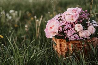 Tử vi thứ 4 ngày 3/9/2025 của 12 cung hoàng đạo: Ma Kết dễ ốm, Kim Ngưu dũng cảm