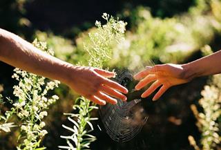 Hôm nay 10/8/2025 - 4 con giáp được lộc bình an, hạnh phúc và nhiều tình yêu vây quanh