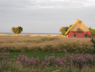 Tử vi thứ 2 ngày 11/8/2025 của 12 cung hoàng đạo: Sư Tử khó khăn, Bạch Dương tốt tính