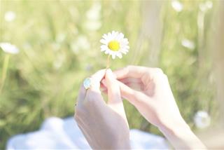 Cuối tuần này 13-14/9, cuộc sống ngọt ngào - Chúc mừng 3 con giáp có đường tình mỹ mãn