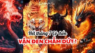 Hết tháng 7 âm là hết ĐEN, 4 con giáp XẢ xui đón LỘC, sống đời vừa GIÀU vừa SƯỚNG - Đáng chờ mong!