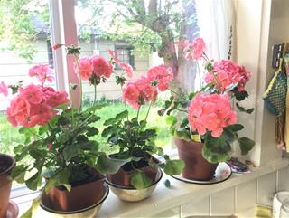 Tử vi thứ 2 ngày 15/9/2025 của 12 cung hoàng đạo: Xử Nữ khó khăn, Cự Giải hướng nội