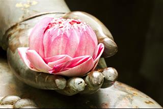 Liệu có kiếp sau hay không? Nghe Phật giáo giải thích, bạn sẽ chẳng còn sợ sinh tử và sống trọn kiếp này!