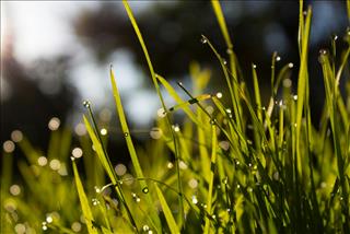 Tử vi Chủ nhật ngày 21/9/2025 của 12 con giáp: Tị thoải mái, Tuất may mắn