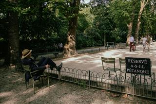 Tử vi thứ 7 ngày 20/9/2025 của 12 con giáp: Thìn có áp lực, Tuất bảo thủ