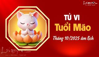 Tử vi tháng 10/2025 tuổi Mão âm lịch: Cơ thể yếu, công việc có quả ngọt