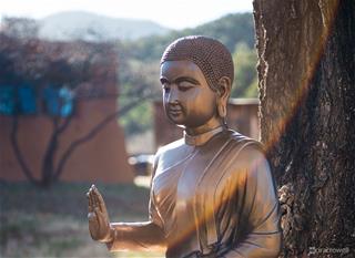 Phật dạy: Hãy chú ý đến những CẠM BẪY này, vì chúng đang cảnh báo bạn phải TRẢ NGHIỆP