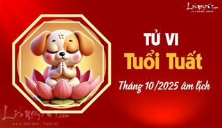 Tử vi tháng 10/2025 tuổi Tuất âm lịch: Chịu khó tiết kiệm sẽ may mắn