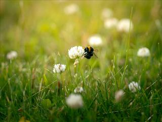 Tử vi Chủ Nhật ngày 28/9/2025 của 12 cung hoàng đạo: Bảo Bình nhạy cảm