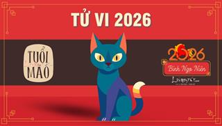 Tử vi tuổi Mão 2026: Một năm đầy sóng gió vì đã ngấm đòn Tam Tai, thêm Phá Thái Tuế hoành hành ngang ngược