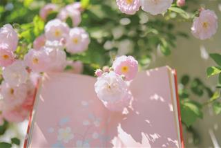 Tử vi thứ 2 ngày 8/9/2025 của 12 cung hoàng đạo: Nhân Mã u sầu