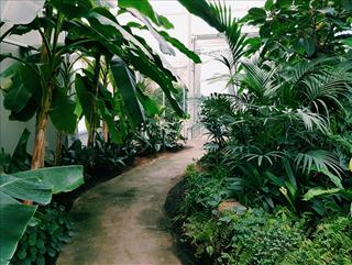 Tử vi Chủ Nhật ngày 7/9/2025 của 12 cung hoàng đạo: Xử Nữ thong dong