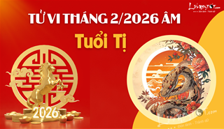 Tử vi tháng 2/2026 tuổi Tị âm lịch: Làm ăn vất vả, suy nghĩ đến mức mất ngủ