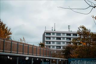 Tử vi thứ 7 ngày 24/1/2026 của 12 con giáp: Tị uy nghiêm, Dậu tổn hại