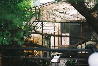 Tử vi thứ 3 ngày 27/1/2026 của 12 con giáp: Thìn bất ổn, Hợi có bước ngoặt