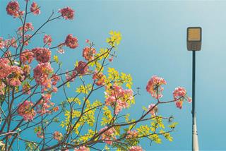 Tử vi thứ 7 ngày 24/1/2026 của 12 cung hoàng đạo: Nhân Mã ngọt ngào, Thiên Bình vui vẻ