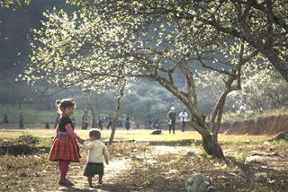 Tử vi Chủ nhật ngày 1/2/2026 của 12 con giáp: Mùi tốt số, Tuất rủng rỉnh tiền tiêu