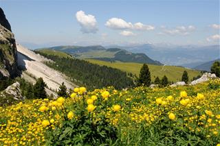 Tử vi tuần mới của 12 cung hoàng đạo 2-8/2/2026: Xử Nữ can đảm, Bảo Bình nổi bật