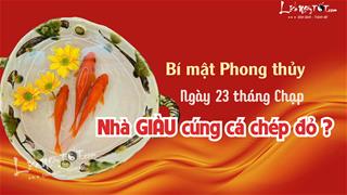Tại sao giới kinh doanh, nhất là NHÀ GIÀU thường cúng cá chép đỏ 23 tháng Chạp chứ không phải cá chép giấy?