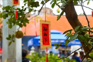 Tử vi tuần mới của 12 con giáp từ 9/2 - 15/2/2026: Tý rực rỡ, Tị áp lực trước khi nghỉ Tết