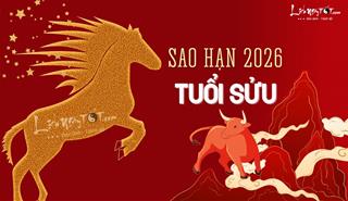 Sao hạn tuổi Sửu năm 2026 cho đầy đủ các tuổi Đinh Sửu, Tân Sửu, Quý Sử, Kỷ Sửu, Ất Sửu