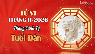 Tử vi tháng 11/2026 tuổi Dần âm lịch: Thử thách đan xen cơ hội