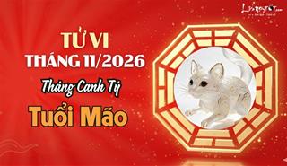 Tử vi tháng 11/2026 tuổi Mão âm lịch: Vận trình đan xen giữa thử thách và cơ hội