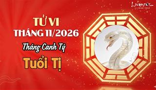 Tử vi tháng 11/2026 tuổi Tị âm lịch: Vận khí hanh thông, có những bước tiến đáng kể