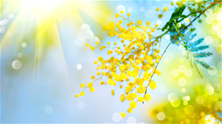 Tử vi thứ 6 ngày 6/2/2026 của 12 con giáp: Mão thắng lớn, Thân hao hụt