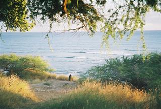 Tử vi thứ 7 ngày 7/2/2026 của 12 cung hoàng đạo: Nhân Mã nhạy bén, Song Ngư ngọt ngào