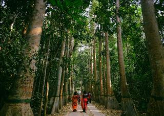 Tử vi Thứ 6 ngày 13/3/2026 của 12 cung hoàng đạo: Hổ Cáp mệt mỏi, Song Ngư lo âu