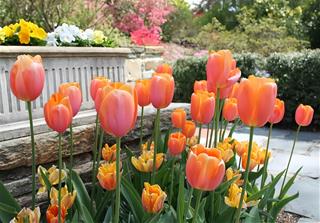 Tử vi thứ 7 ngày 21/3/2026 của 12 cung hoàng đạo: Xử Nữ nóng tính, Bạch Dương gợi cảm