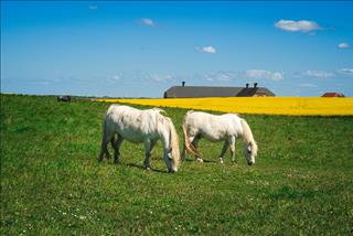 Tử vi tuần mới của 12 cung hoàng đạo (23 – 29/3): Song Tử bận rộn, Ma Kết cần kiên nhẫn