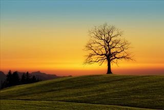 Tử vi thứ 6 ngày 6/3/2026 của 12 con giáp: Tuất may mắn, Tý khỏe mạnh