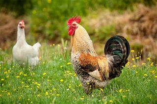 Vận khí HAO TỔN, 4 con giáp cần chuẩn bị tinh thần cho tuần mới (23-29/3) đầy rẫy khó khăn