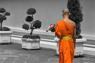 Phật dạy: Chỉ khi thoát khỏi 4 điều CHẤP TRƯỚC này, bạn mới có thể thực sự hết KHỔ