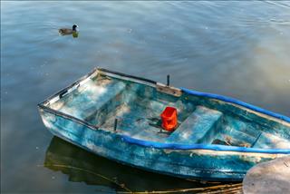 Tử vi thứ 7 ngày 4/4/2026 của 12 con giáp: Thìn quyết đoán, Tuất phô trương