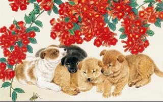 HUNG vận kéo đến bất ngờ, 4 con giáp dược BỀ TRÊN nhắc nhở cận trọng tuần mới (30/3 – 5/4)