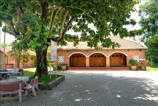 Tử vi thứ 4 ngày 8/4/2026 của 12 con giáp: Tị sắc bén, Dậu nặng tâm trạng